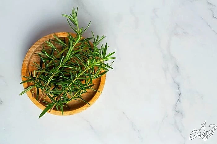 نحوه درمان سردرد خواص رزماری